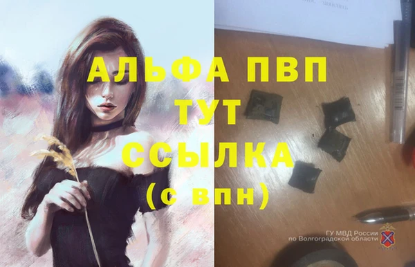 каннабис Майский